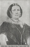 1460_ludovina